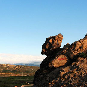 �P��ĸ�H���Ă��f��������ɽ